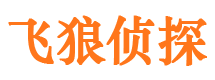 江苏市私家侦探